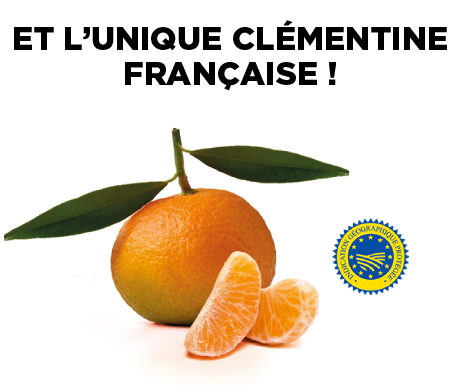 Clémentine avec logo IGP