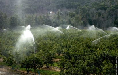 3.L’irrigation